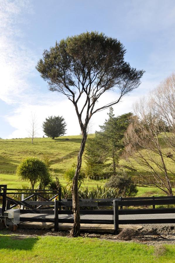 Matapouri & Tutukaka Spectacular Coastal Views- Aroha Luxury Guest Suite Екстер'єр фото