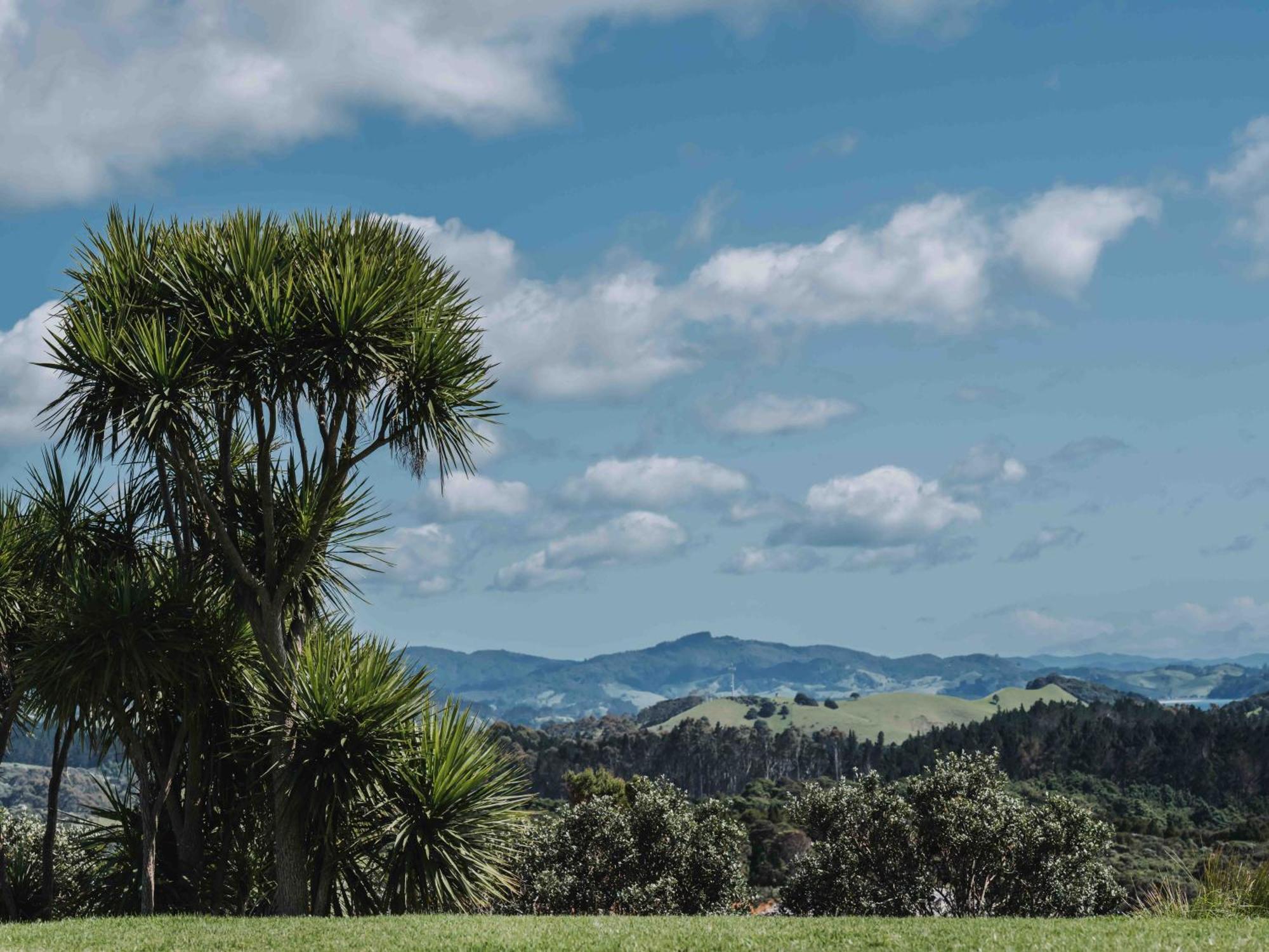 Matapouri & Tutukaka Spectacular Coastal Views- Aroha Luxury Guest Suite Екстер'єр фото